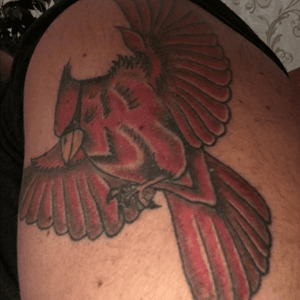 When i lost my son to Cancer at 15 we started to see Cardinals .