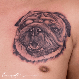 Tattoo by Kenny #tattoo #solotattoo #hongkongtattoo #dog #pug #blackandgrey 