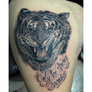 Tigre y frase #tattoo #tattoos #tigretattoo  #tiger #blackandwhitetattoo #photorealistic #realistic #follow #followme 