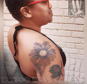 #finelinetattoo #chrysanthemum @danleytattoos @tattoowonderland #youbelongattattoowonderland #tattoowonderland #brooklyn #brooklyntattooshop #bensonhurst #midwood #gravesend #newyork #newyorkcity #nyc #tattooshop #tattoostudio #tattooparlor #tattooparlour #customtattoo #brooklyntattooartist #tattoo #tattoos #chrysanthemumtattoo #flowertattoo