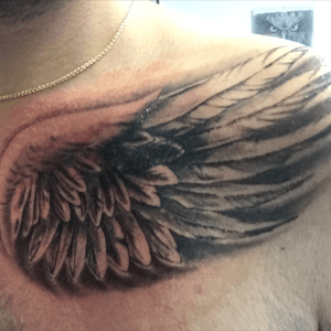 Eagle's wing Cover up