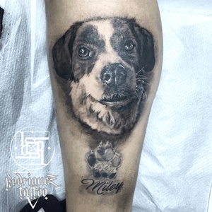 #dogportrait #blackandgreytattoo #tattoooftheday