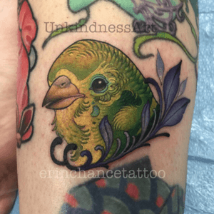 Budgie by Erin Chance @ unkindness arts in richmond va