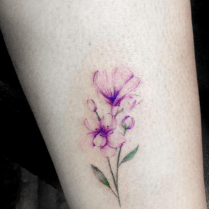 #flowers #color #flowerbuds #leaf #delicate   #HelenXu #helenxutattoo @helenxu @helenxu_tattoo 