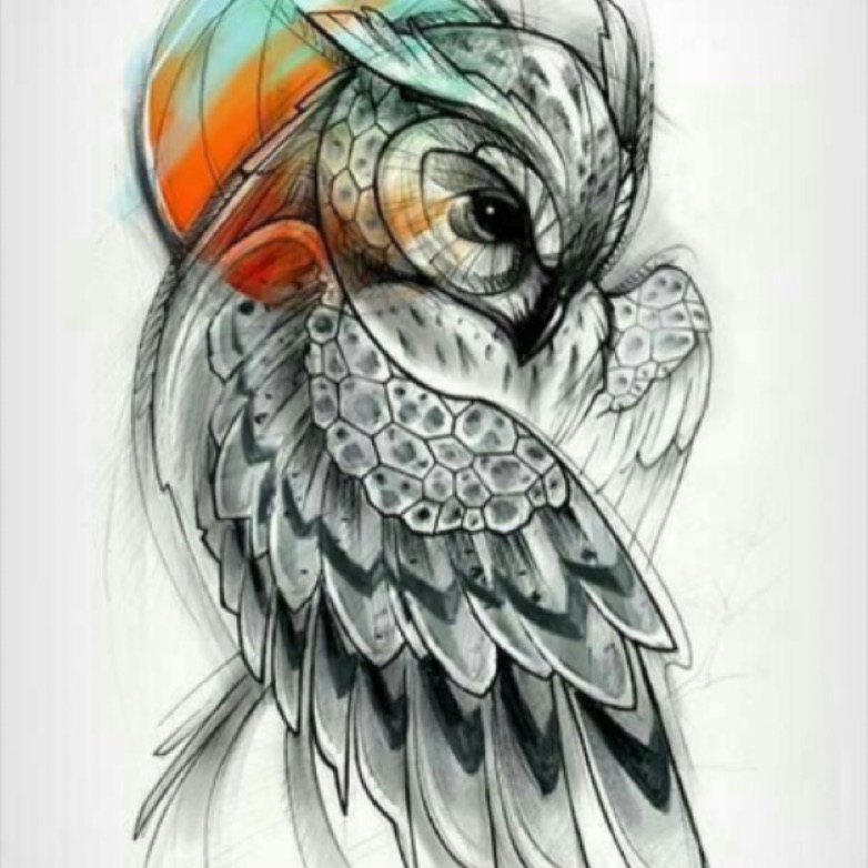 Explore the 23 Best owl Tattoo Ideas May 2017  Tattoodo