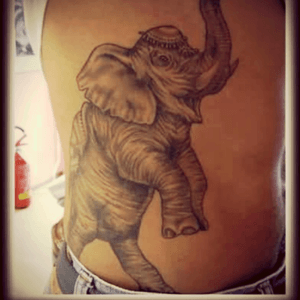 #elephant #side #hip #ribs #blackandgrey #realistic 