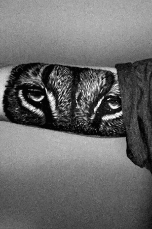 Lion eyes tattoo, inside the bicep