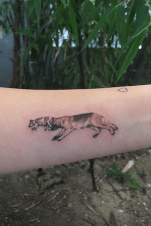 Tattoo of my dogs done by @yammytattoo on instagram in Seoul, Korea!