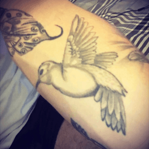 Favourite tattoo so far 🙌🏼#hummingbirdtattoo 