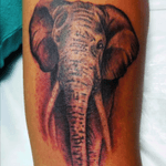 Lindo elefante feito pelo artista Luiz Fonseca! 🐘 Gostou? Venha fazer sua tattoo com ele! Para agendar um horário, ligue para 3617-2727 ou 97022-5956. #coverupstudio #tattooniteroi #tattooelefante