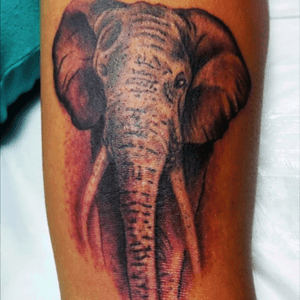 Lindo elefante feito pelo artista Luiz Fonseca! 🐘Gostou? Venha fazer sua tattoo com ele! Para agendar um horário, ligue para 3617-2727 ou 97022-5956.#coverupstudio #tattooniteroi #tattooelefante