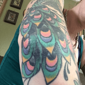 This is the rest of my peacock. The feathers cover my entire elbow area. 
