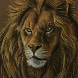 #lion #leão #painting #paint #gugo #gugotattoo #pastel #softpastel 