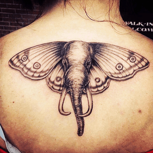 Different #elephanttattoo #butterflytattoo 