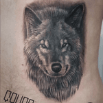 #tattoowolf #tattoo#tattooart #tattooed #gocatattoo