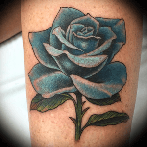 #bluerose #rose