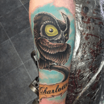  #owl #cartoon #newschooltattoo #colortattoo #bold #eternalink #magirotary #illustrative #tattoo #tattooartistmagazine #tattooartist #nztattooartist #invercargill #frostbitetattoo #nz #tattoodo #girlswithtattoos #tats #tatted #tattoosleeve
