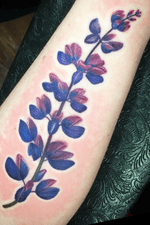Custom Lupine tattoo by Brigid Burke #flower #floral #floraltattoo #flowertattoo #tattoooftheday #color #colortattoo #lupine #customtattoo 