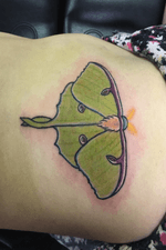 Fun little luna moth on the ribs 💜 #lunamoth #fun #cute #insect #luna #moth 