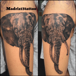 Zele #madriz13tattoo #madriz13 #cordoba #cordobatattoo #tattooelefant #elephanttattoo #elegante #tattoo #tatuaje #spaintattoo #tattoospain 