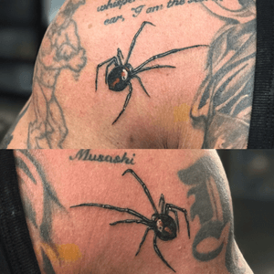 Did these two little spiders the other day 