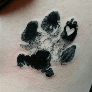 Paw prints for Rowdy and odin