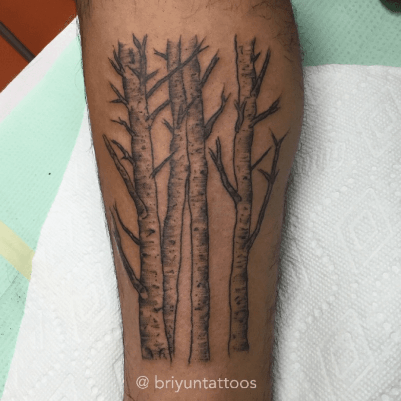 Tattoo uploaded by Bryan Boe • Aspen grove #tree #treetattoo #aspen #aspenleaves #nature #dotwork #blackwork #blackworktattoo #blackworker #black #tattoo #tattoos #tattooart #tattooartist #Tattoodo #neworleans #lines • Tattoodo