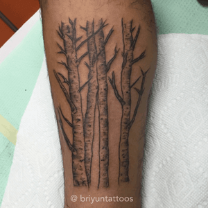 Aspen grove #tree #treetattoo #aspen #aspenleaves #nature #dotwork #blackwork #blackworktattoo #blackworker #black #tattoo #tattoos #tattooart #tattooartist #Tattoodo #neworleans #lines 