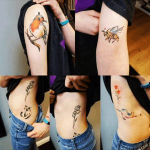 https://instagram.com/p/BTWLKiUgIor/ all tattoos dond by Sophie Herrick #healed #bird #robin #tophat #bee #rose #flower #cat 