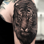 #tattoooftheday #tiger #tigertattoo #animaltattoo #vikinktattoo #fredericia #denmark #cemvikink 