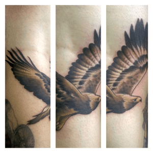 new ink today 15/07/2016golden eagle on back of calf and back of knee