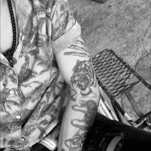 #tattoo #andy #blackandgrey #tigertattooidea 