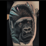 By Brian Povak #brianpovak #gorilla #animals 