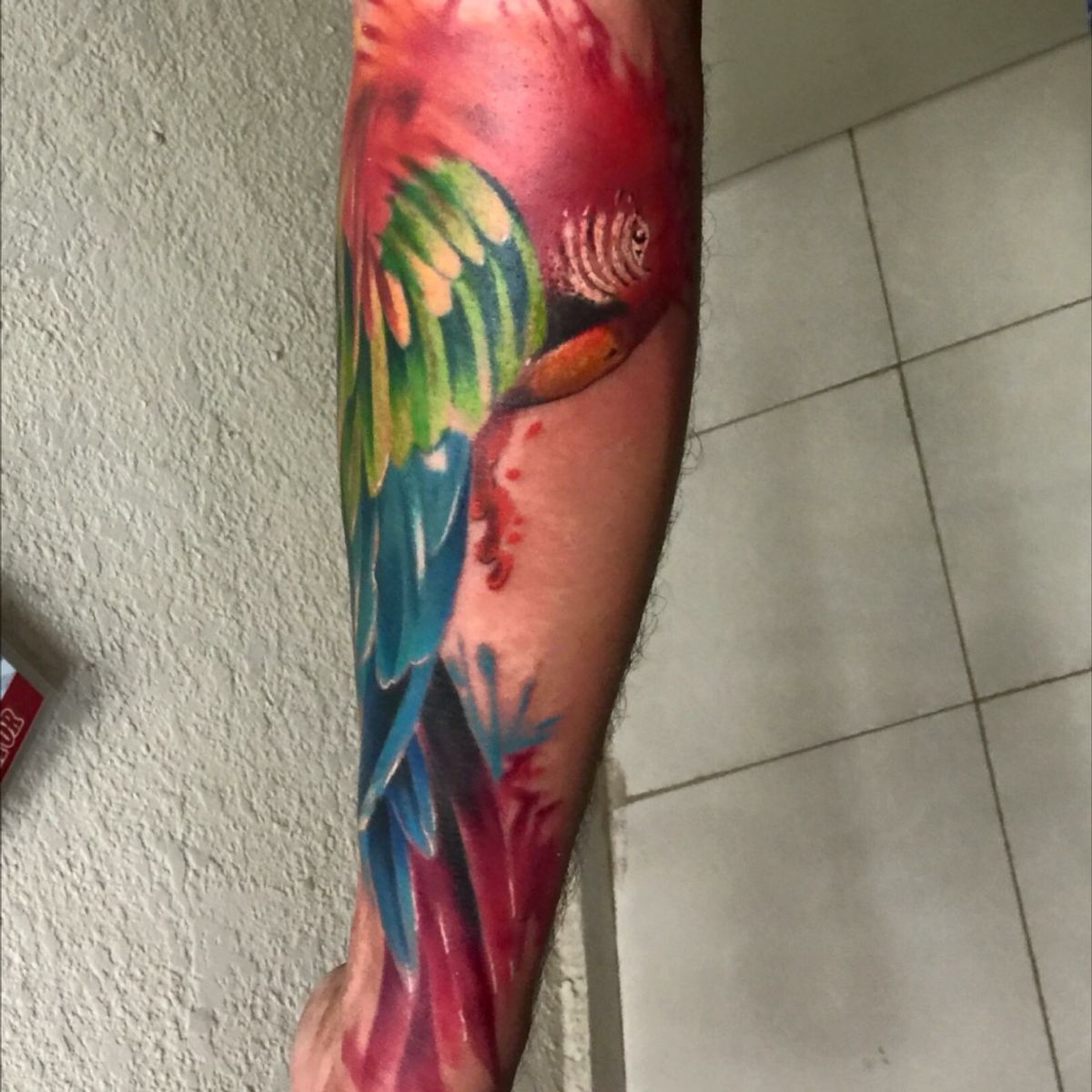 Tattoo Uploaded By J. Arturo Ruz C. • Guacamaya En Estilo 