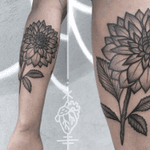 Beautiful #dhalia tattoo #flower #dotworktattoo #blackandgrey 