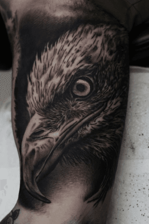 #eagle #eagletattoo #realism #blackandgrey