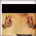 Swallows #chest #torso #swallow #swallows 