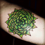 My first Tattoo, its an aloe polyphylla, a naturally ocurring fibonacci sequence.  I wanted a natural look to it instead of the geometric patterns, so i had to draw it for my artist.