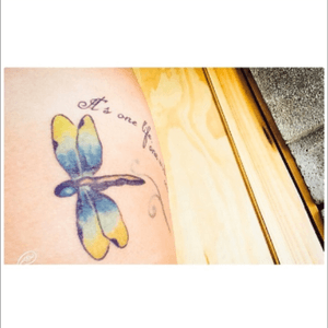First one. In deep details the dragonfly. The words "It's one life, one world, one chance" lyrics from a SOJA song.  