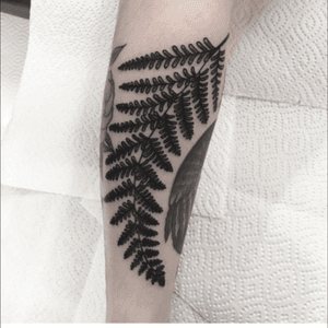 Deborah pow tattoo. #tattoo #fern #blackwork 