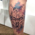 Wolf 😁  #watercolortattoo #dellnascimentotattoo #rioinktattoo #aquarela #tattoo #tattoos #tattooaquarela #sketch #lobo #azedareameta 