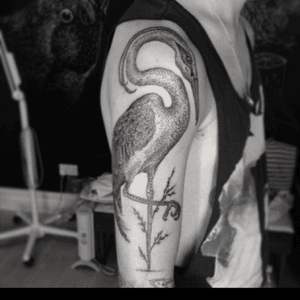 Amazing #bird #tattoo by #ottodambra #blackwork #Black #dotworktattoos #dots #mindblowing  #damn 