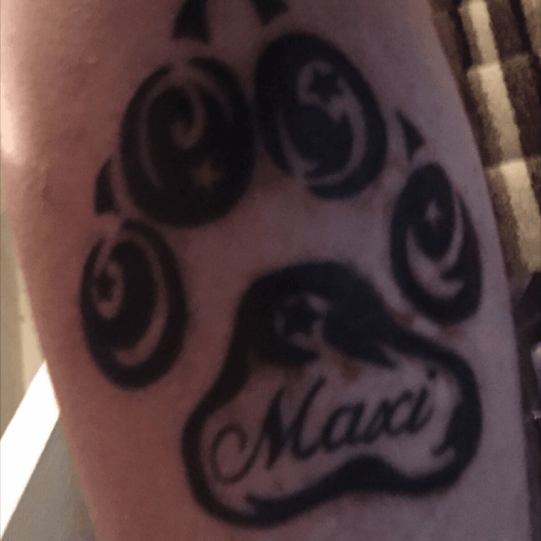 Tattoo Uploaded By Cameron Mcnamara Tribal Dog Paw Tattoo Pets Dog Paw Tribal Black Tattoodo