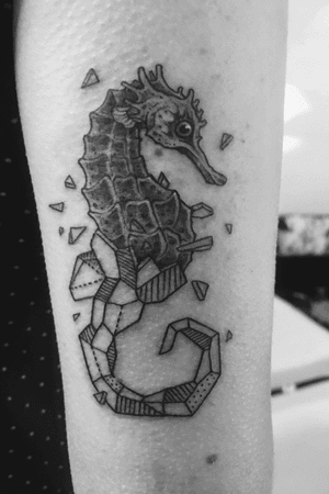 My tattoo above the elbow #seahorsetattoo #seahorse #SeahorseTattoos #seahorses #origami #animal #animals #geometry #geometric #geometrictattoo 
