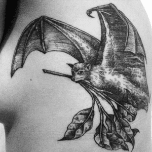  #woman #TattooGirl #tatuagem #tattoo #tattoos #blackandgreytattoo #blackwork #ink #inkedgirl #bat #bats #battattoo #science #cientific #morcego #animal #mamaifero #naturetattoo #natureza #nature #naturalbio