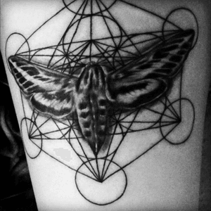 Done by Zoe Clark at Dark Horse Collective#geometry #geometric #moth #insect #wings #line #linework #bnw #soft #lines #geometrictattoo #geometrictattoos #circles #mothtattoo 