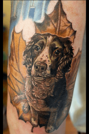 Custom #dogportrait #dog #pup #puppy #leaf tattoo by Sean Ambrose at Arrows and Embers Tattoo in Concord, NH. Thanks for looking! #tattoooftheday