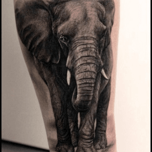One of the most fascinating and emotional animals on earth . Life dream/goal : go and do voluntary work at a elephant orphanage. This tattoo needs to be part of me <3 #megandreamtattoo