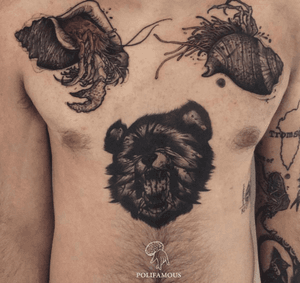 Bear by Rvddeluca, Hermit Crabs by Conio Polifamous