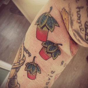 Apple pails part of my wizard of oz & return to oz sleeve 